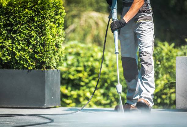 Best Driveway Pressure Washing  in Collings Lakes, NJ