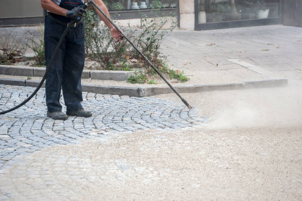 Best Roof Washing  in Collings Lakes, NJ